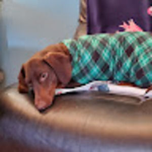 Meet your Posher, Lisa